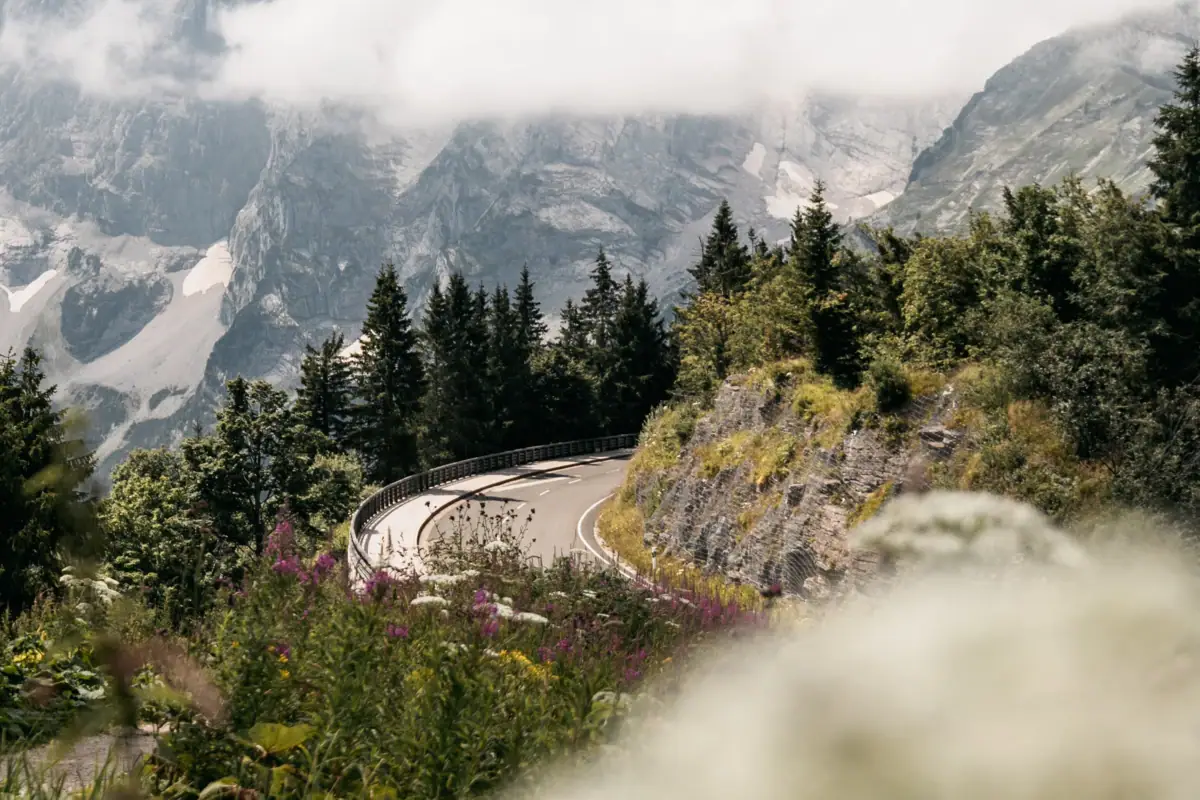 Panoramastraße Straße mit Bäumen und Bergen im Hintergrund