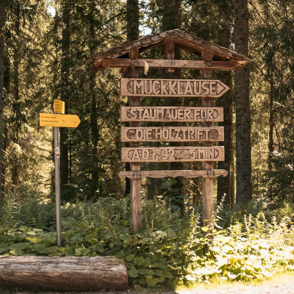 Wegbeschilderung Ein Schild im Wald.