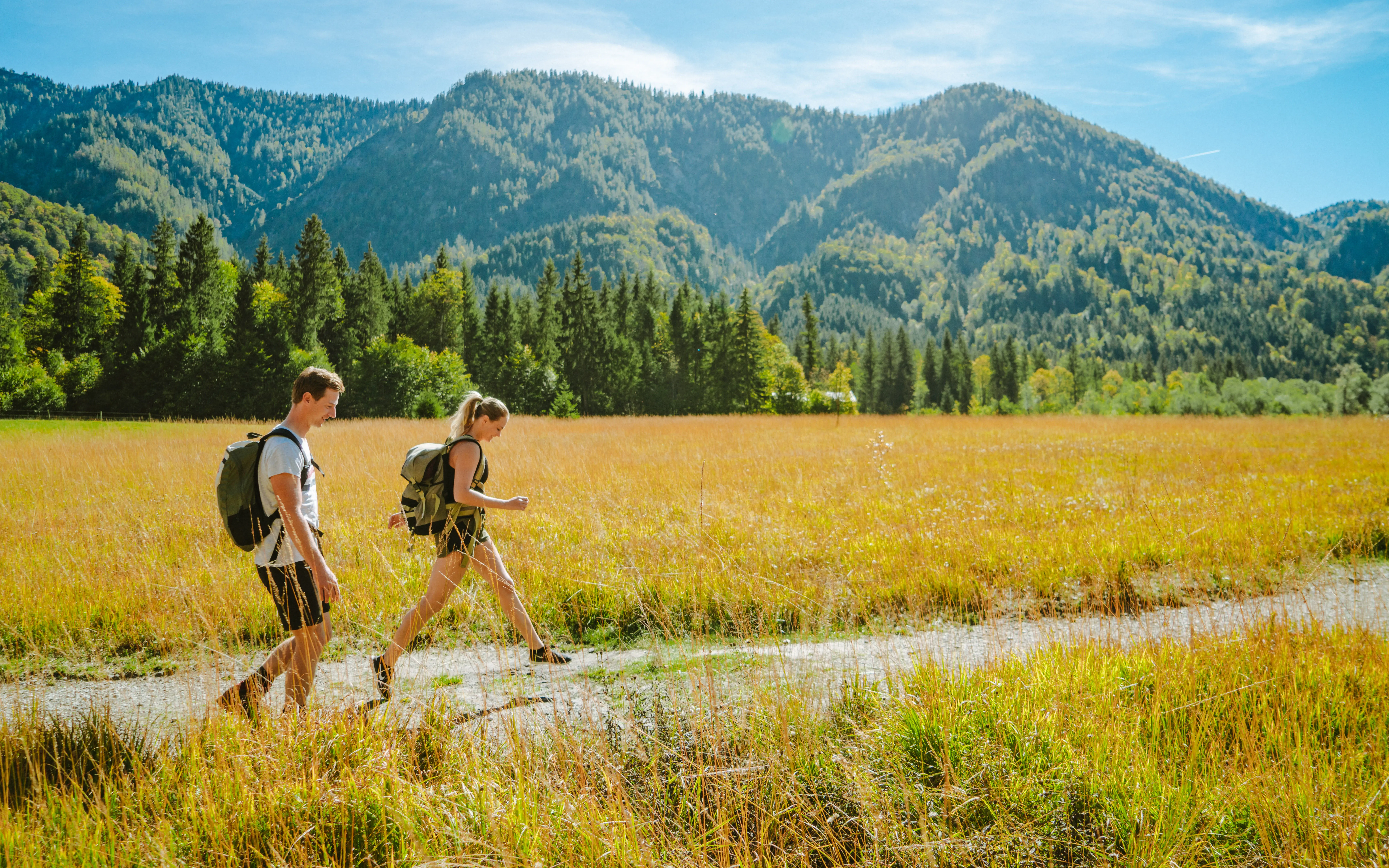 Ein Paar spaziert an einem sonnigen Sommertag einen Weg durch eine Wiese. Im Hintergrund erstreckt sich eine Wald- und Berglandschaft.