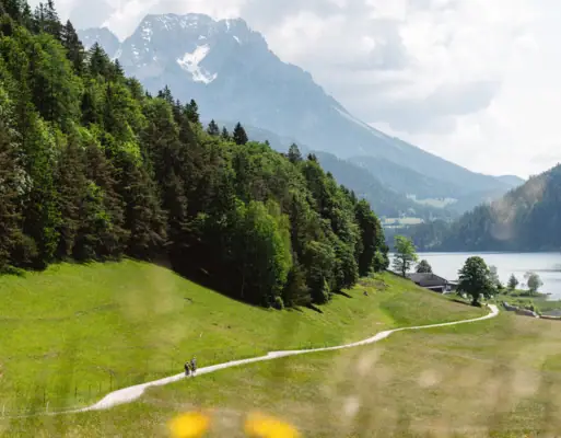 Radtour Ein Weg mit zwei Fahrradfahrern, der zu einem See führt, umgeben von Gras und Pflanzen unter einem bewölkten Himmel.