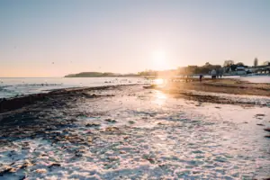 Ein verschneiter Strand mit Wasser und Gebäuden im Hintergrund.