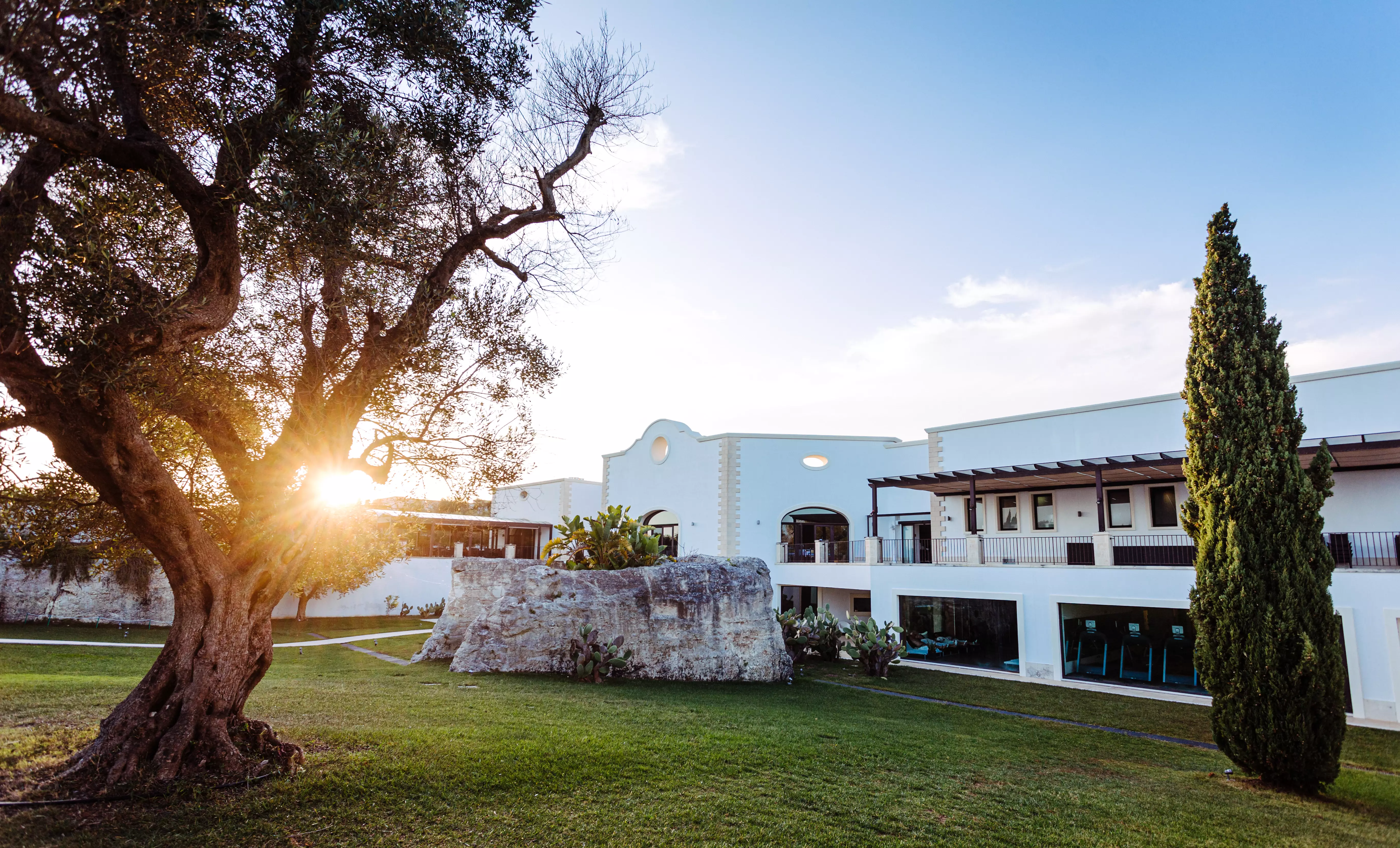 MIRA Hotels Außenansicht des MIRA Hotels in mediterraner Umgebung, mit einem alten Olivenbaum, gepflegten Grünflächen und der untergehenden Sonne, die hinter dem Gebäude hervorstrahlt.