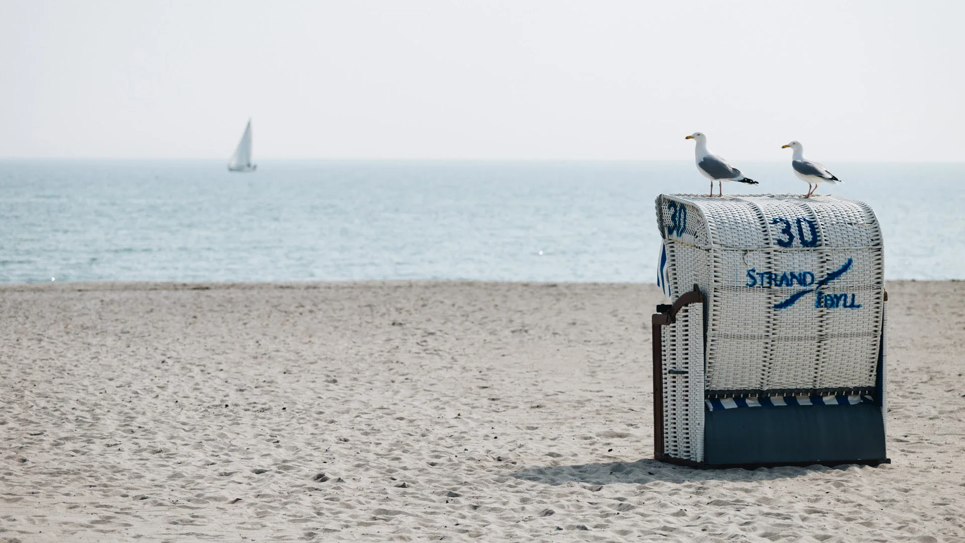 An einem ruhigen Strand mit blauem Meer steht ein Strandkorb auf dem zwei Möwen sitzen.