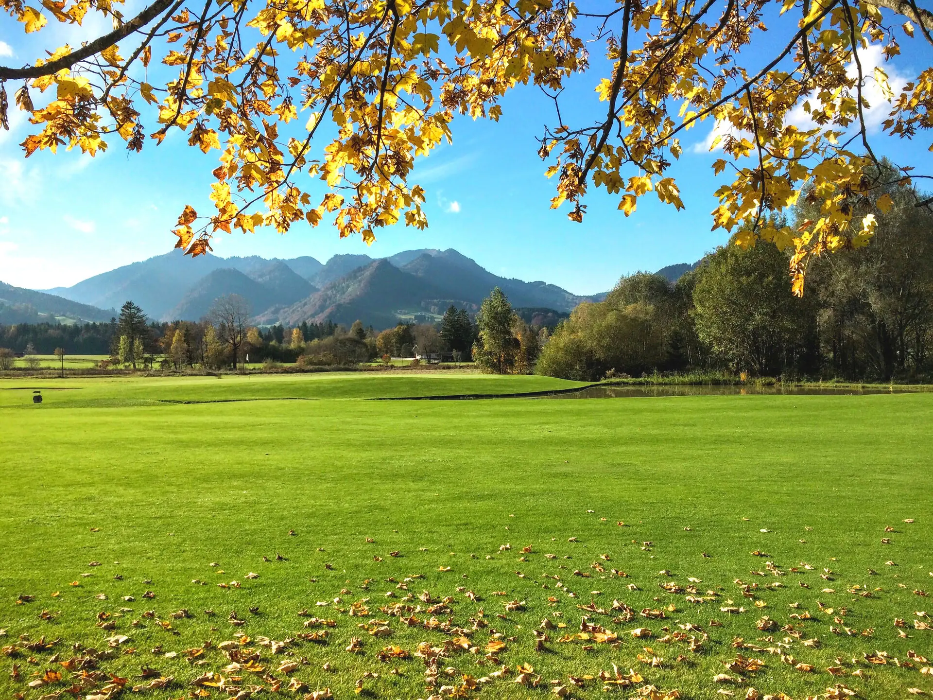 Golf Großes grünes Feld mit Bäumen und Bergen im Hintergrund.