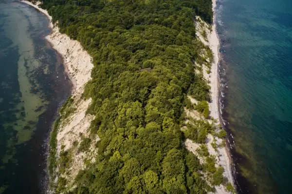 Nordperd Luftaufnahme eines Strandes mit Bäumen im Vordergrund.