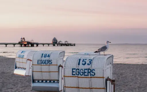 Am Grömitzer Strand stehen verteilte Strandkörbe, auf denen eine Möwe sitzt. Im Hintergund führt ein langer Steg auf das Wasser hinaus, auf dem sich die untergehende Sonne spiegelt. Am Grömitzer Strand stehen verteilte Strandkörbe, auf denen eine Möwe sitzt. Im Hintergund führt ein langer Steg auf das Wasser hinaus, auf dem sich die untergehende Sonne spiegelt.