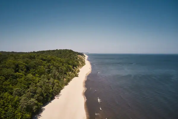 Strand Strand mit Bäumen und Wasser im Vordergrund.