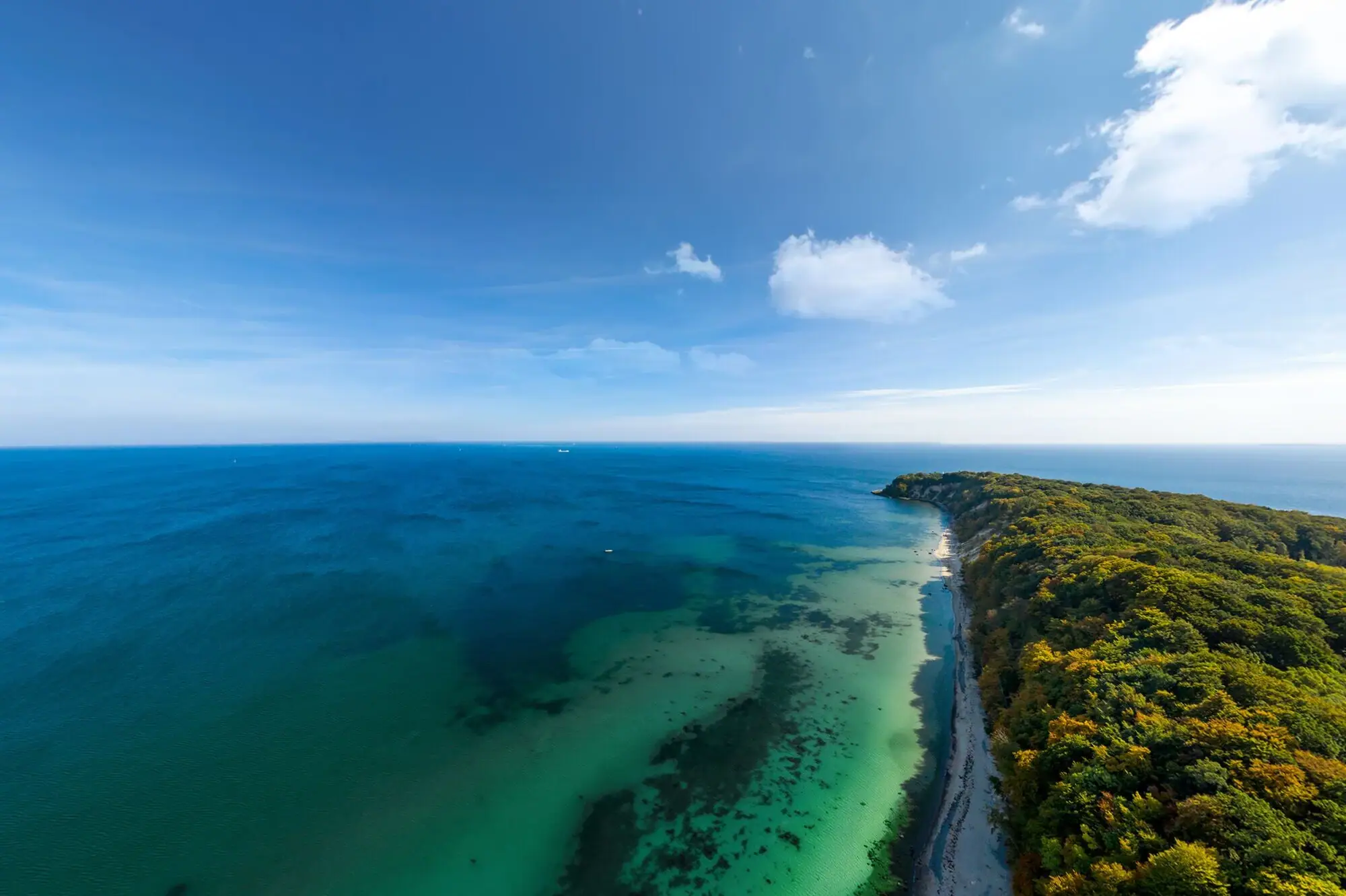 Nordperd Ein Strand mit Bäumen und Wasser.