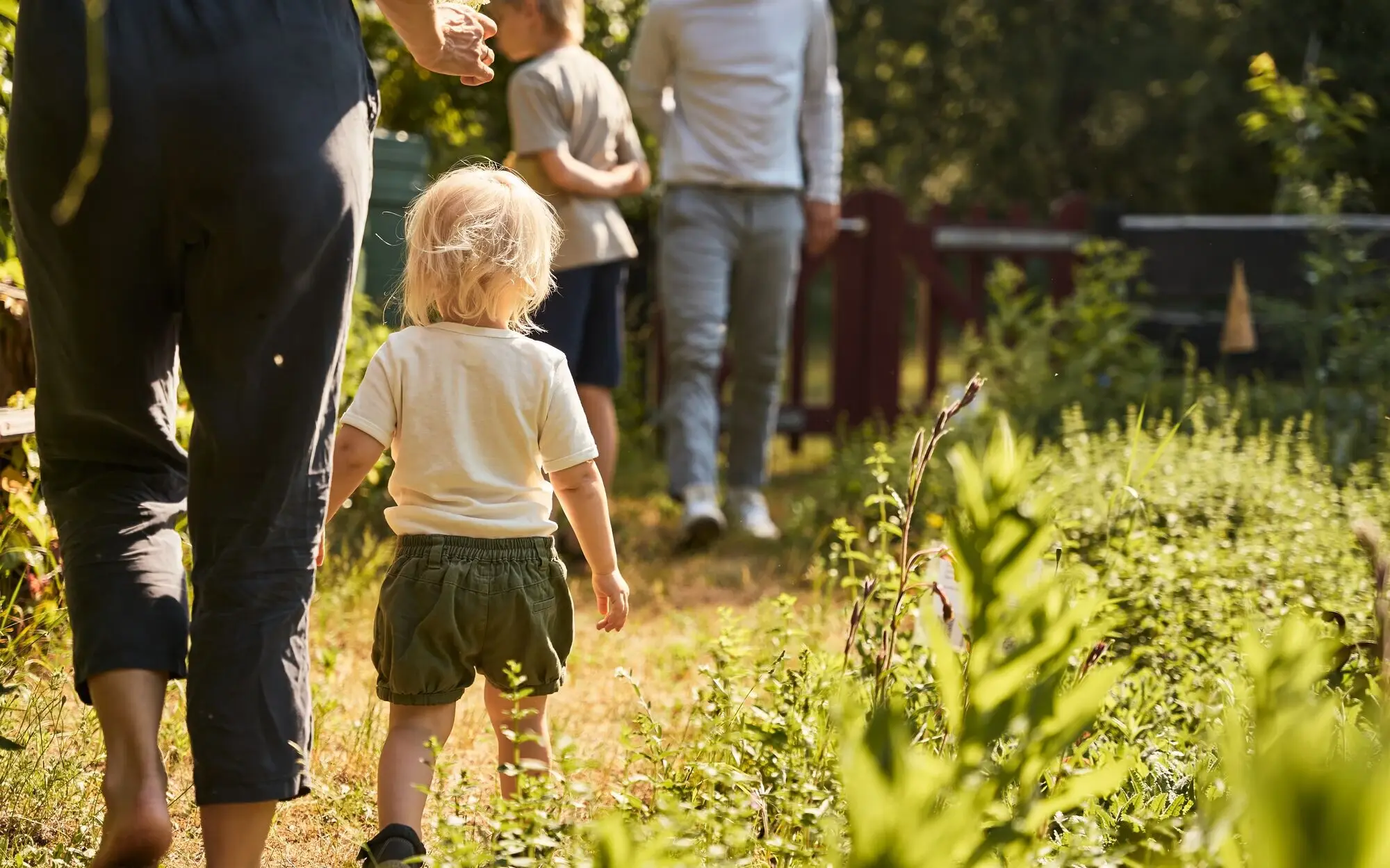 Nachhaltigkeit aja Bansin Eine Gruppe von Personen, darunter Kinder und ein Kleinkind, spazieren entlang eines Kräuterbeetes.