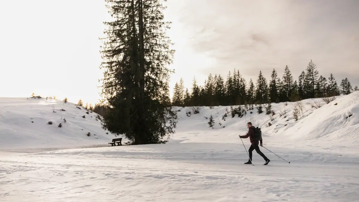 Skilanglauf Ein Mann beim Langlaufen im Schnee.