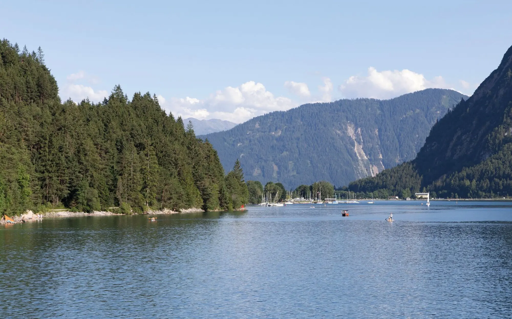 Boote auf einem Gewässer mit Bäumen im Hintergrund.