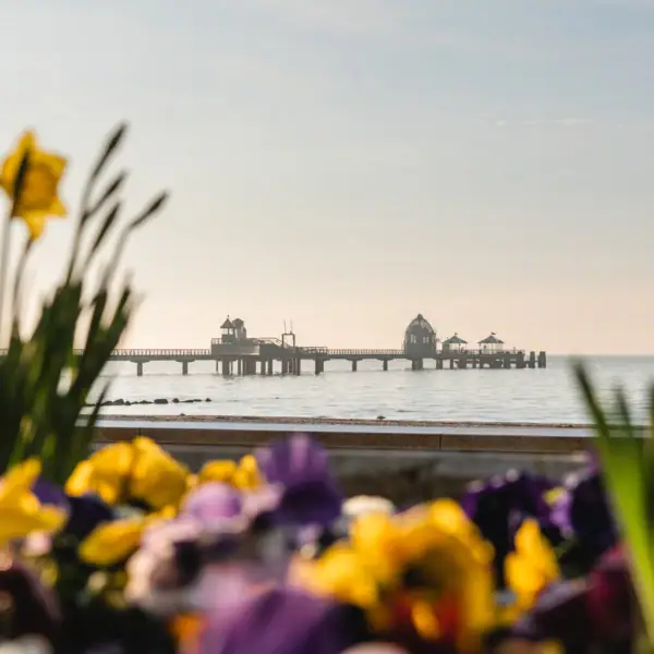 Ein Pier mit einer Brücke im Wasser unter freiem Himmel.